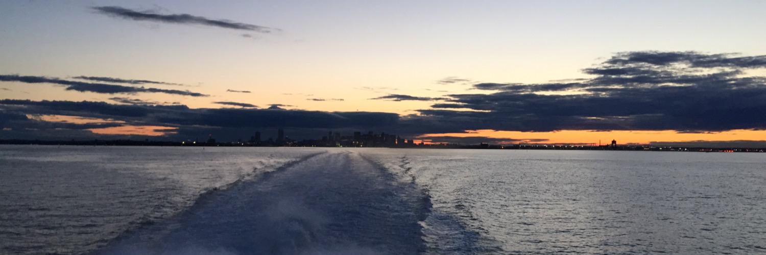 Frederic Thys banner