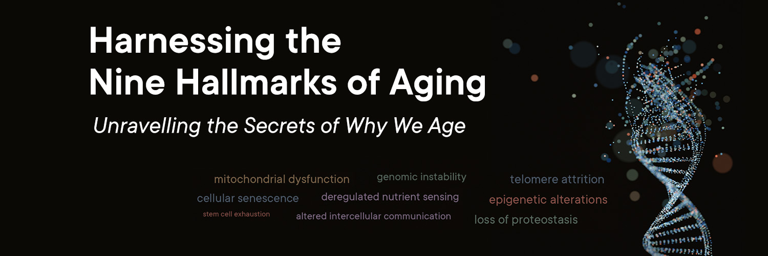 Greg Macpherson banner