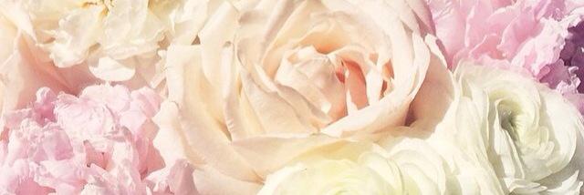 Beth banner