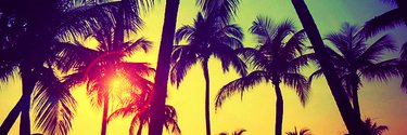 Lesilusion's profile banner image