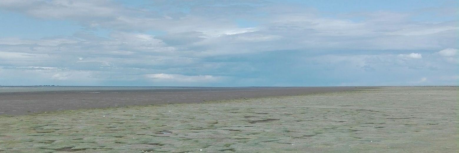 marianodgm's profile banner image