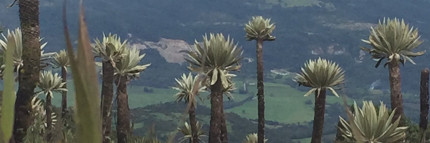 anarod1's profile banner image