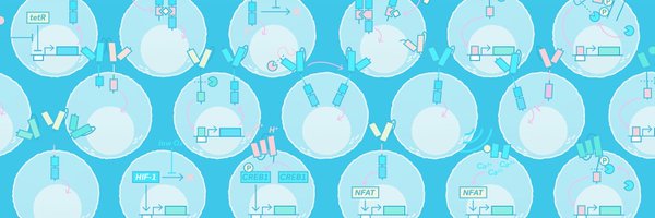 victortieu Profile Banner