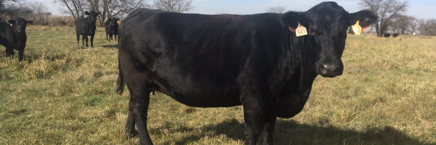 Mark Fahleson banner