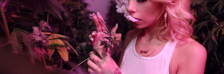 xKelsMonroe's profile banner image