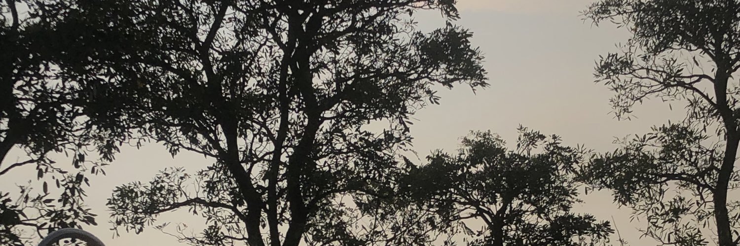 BrownFire banner