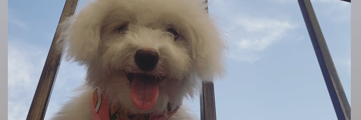 ItzelTamez's profile banner image