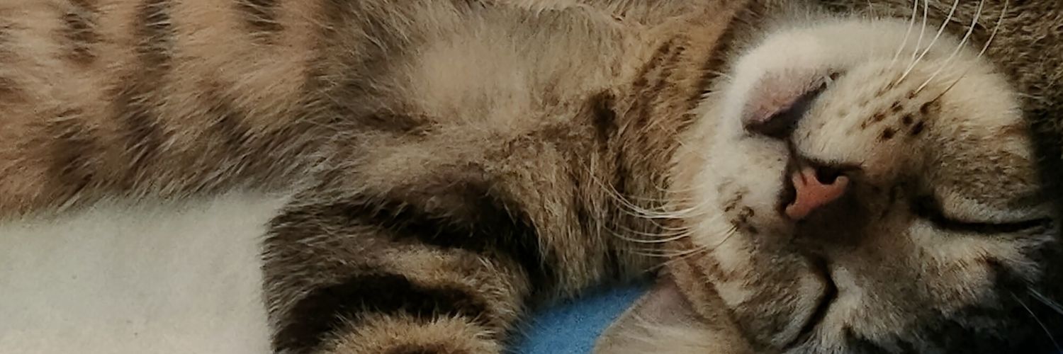 f banner