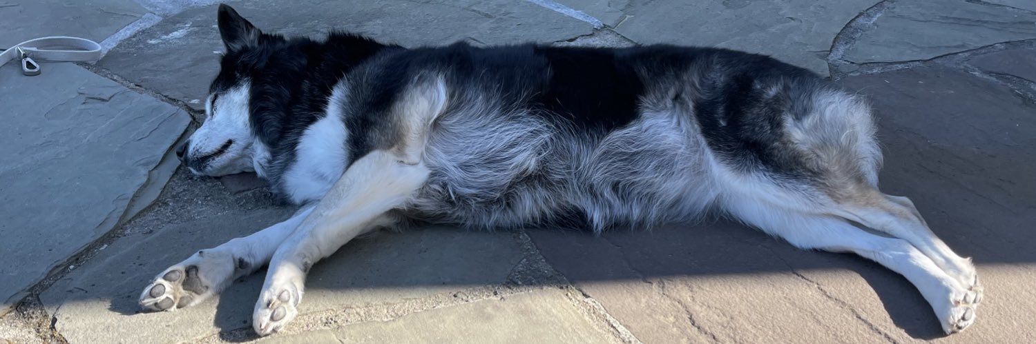 KC Lemson (@kclemson.bsky.social) banner