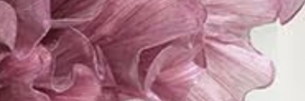 dam1031's profile banner image