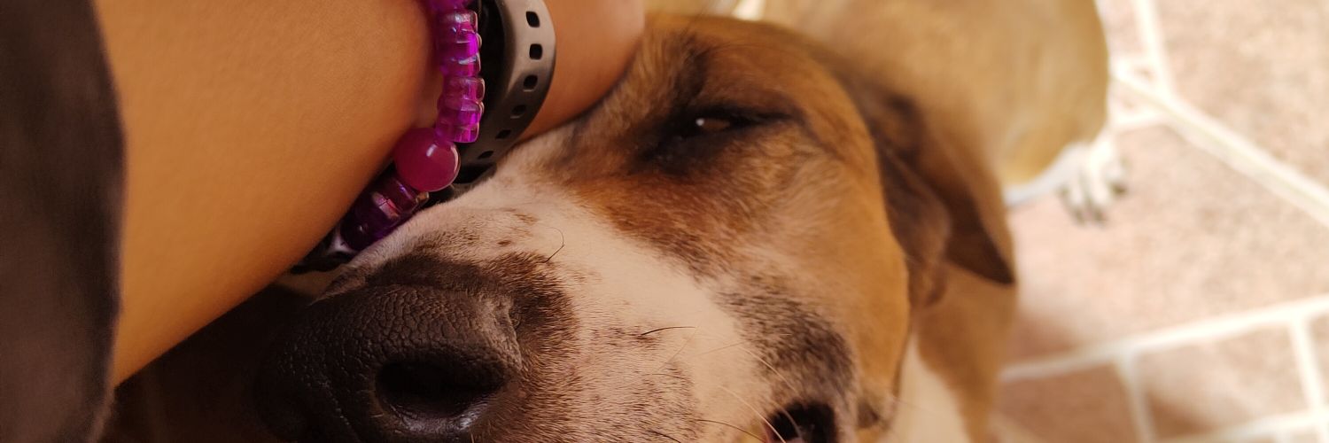 AnnyRuizC's profile banner image