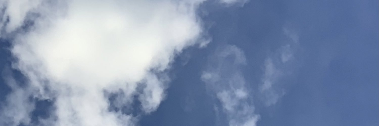 scharannss's profile banner image