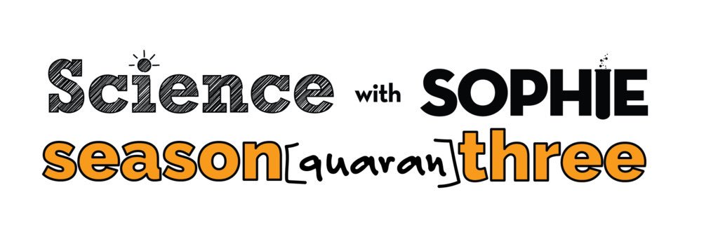 Sophie banner