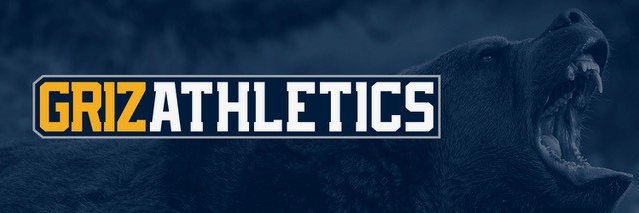 Franklin Grizzlies's banner