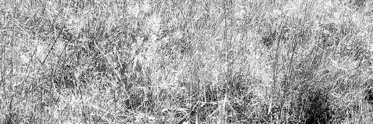 MayCar96708166's profile banner image