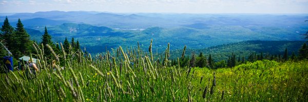 hammadbhatti Profile Banner