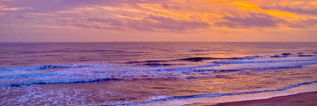midgett's profile banner image