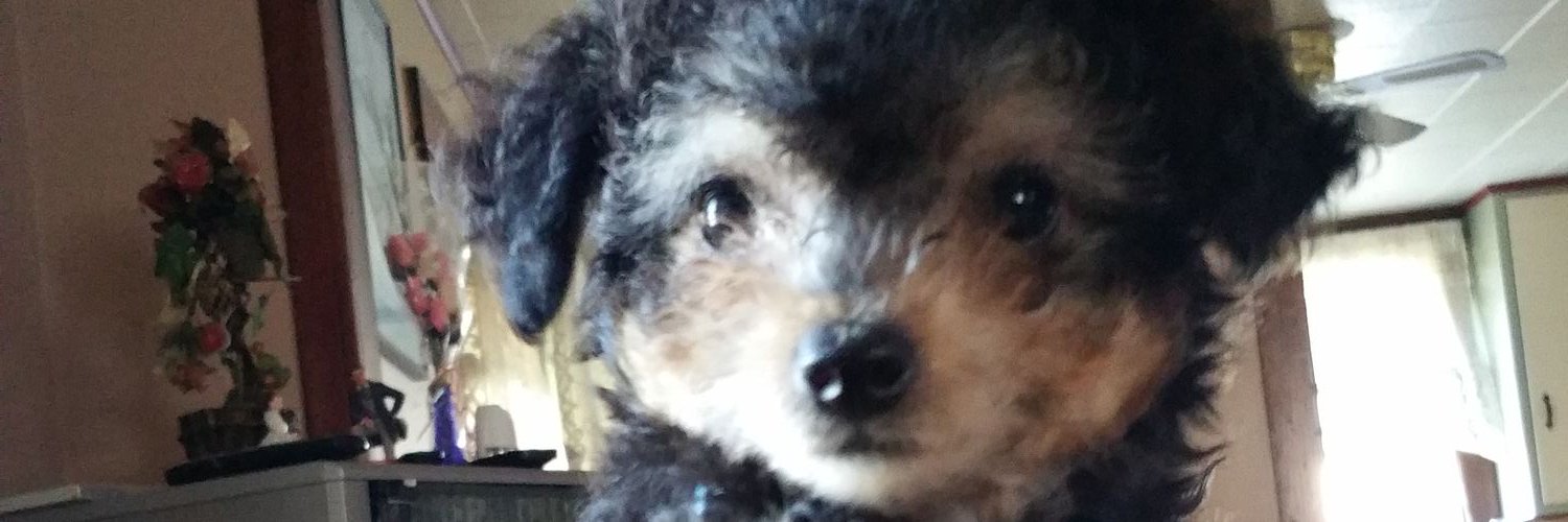 Barbi4life's profile banner image