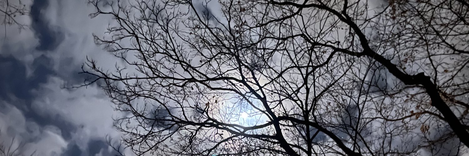 shockingtwist's profile banner image