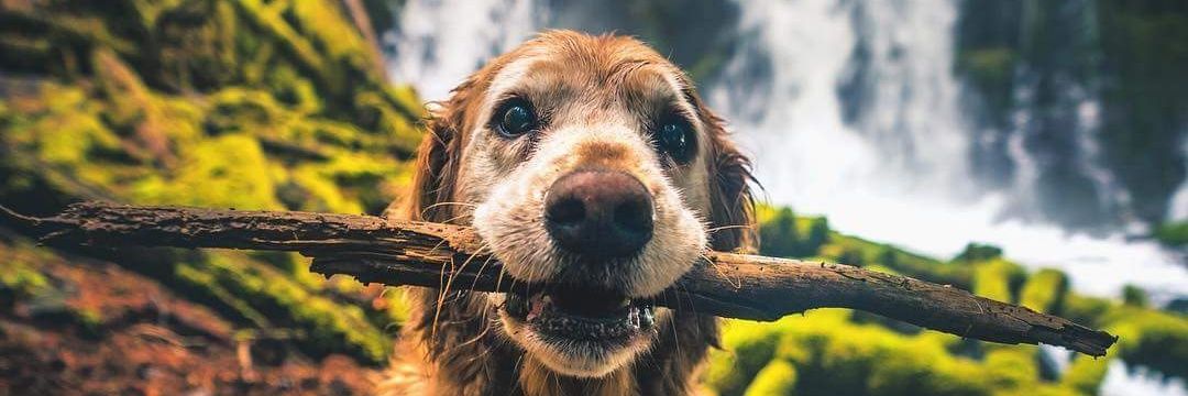 Bestfri_ends's profile banner image