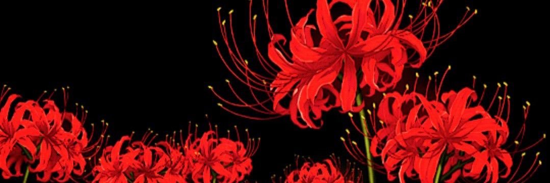 becerrasins's profile banner image
