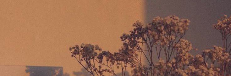 mouse_borzause's profile banner image