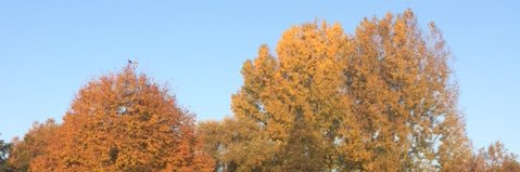 Marieke Kersten banner