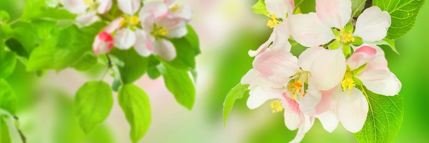 Deshan Rathnayake banner