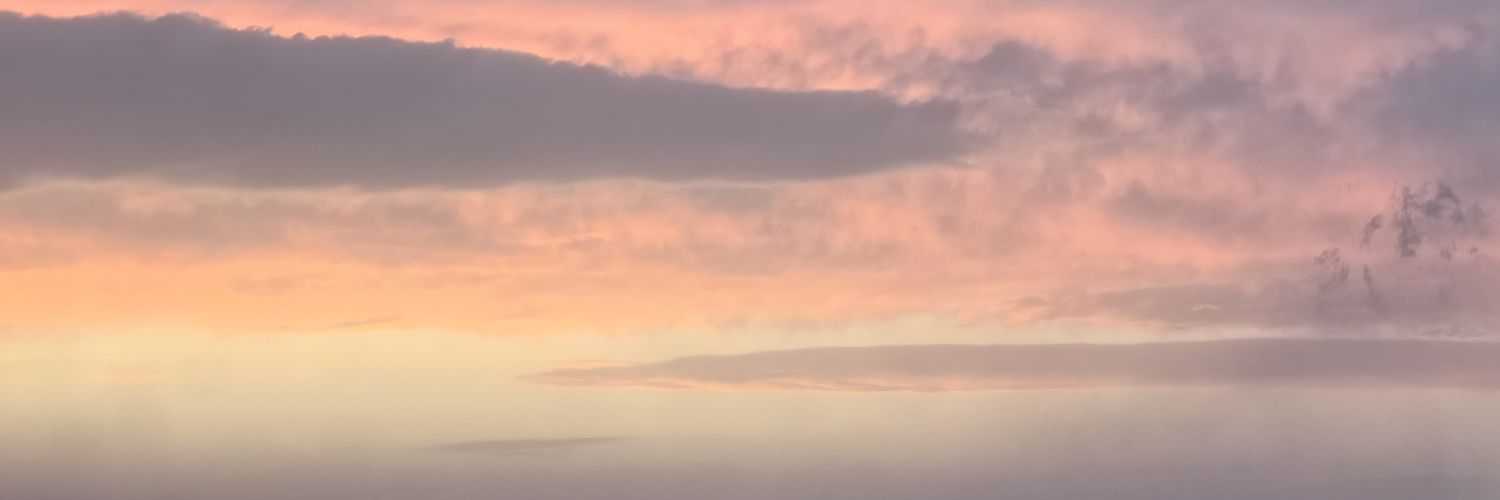 Crypto Twins @HTX banner