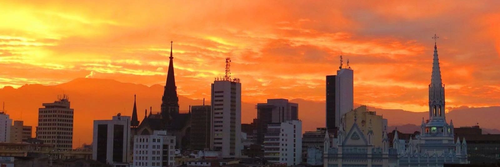 M. Eugenia Molina banner