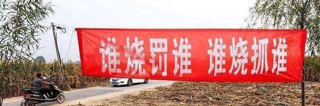 一坨蛋白质 banner