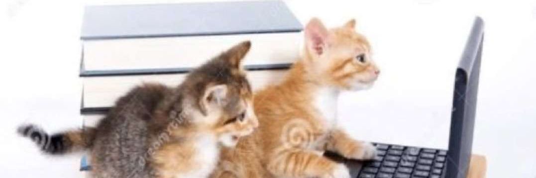 UnderBaseLevel(Cat Food) banner