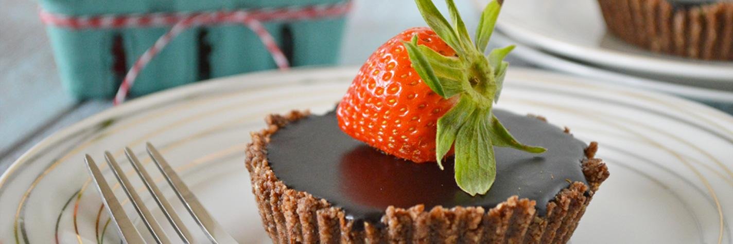 OurPaleoLife's profile banner image