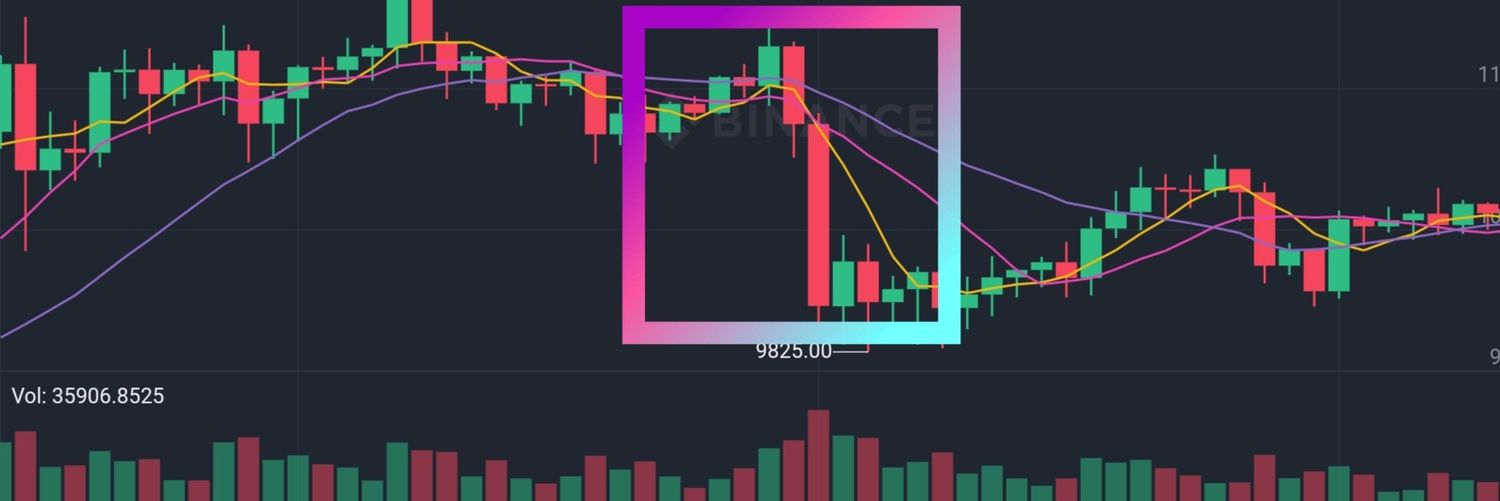 Crypto Scam Alerts banner