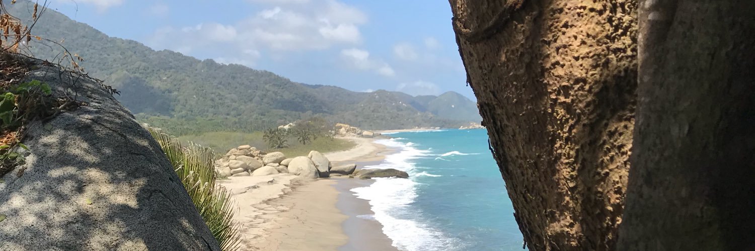 Andrés Eliceche banner