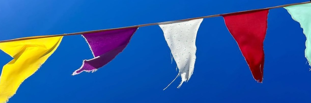 Rodolfo Garraud S. banner