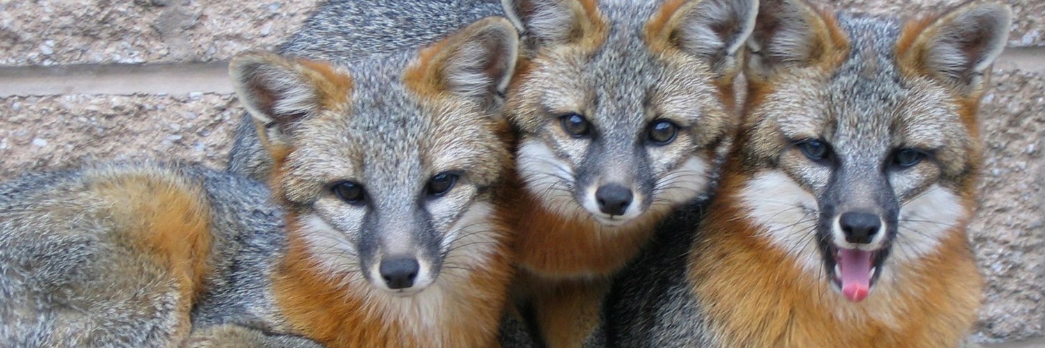 WildlifeCenter's profile banner image