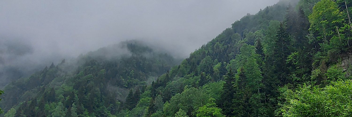 Çağan Abbasoğlu banner