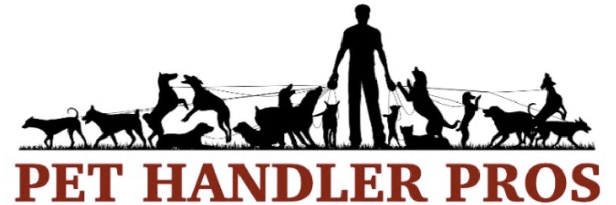 PetHandler's profile banner image