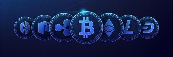 CryptoPanda73 Profile Banner