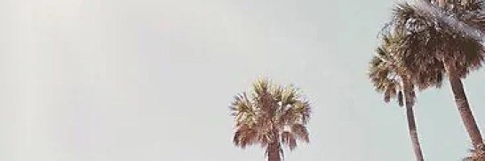 CryptoShirle's profile banner image