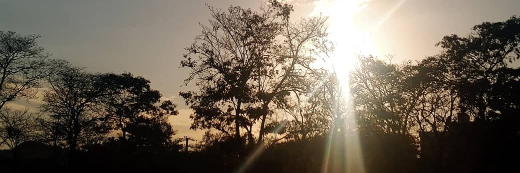 Reimer  Agustín Romero banner