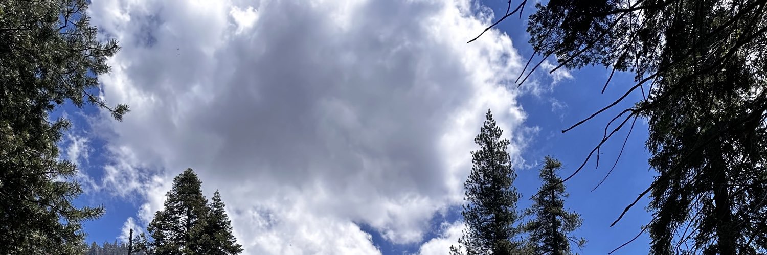 * banner
