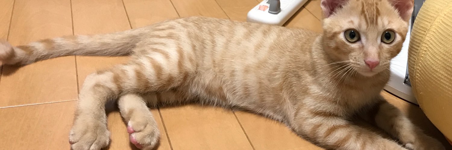 Yuuxyz's profile banner image