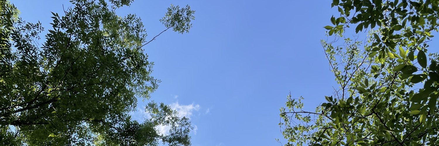 金田一☆☆☆ banner