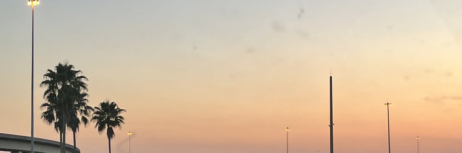 BornTooSinn's profile banner image