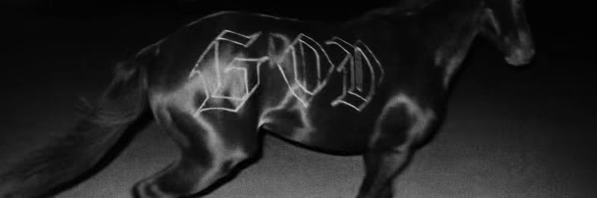 Rae banner