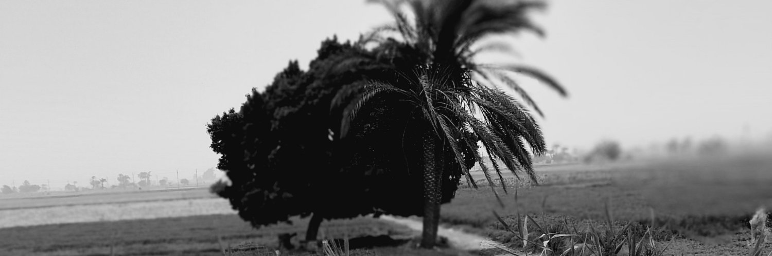 mntsrmoftah79's profile banner image