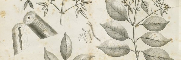 TobiasLDBarn Profile Banner