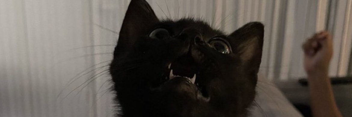 iv0xr's profile banner image